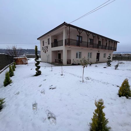 Pensiunea Alin Hotel Sisesti  Exterior photo