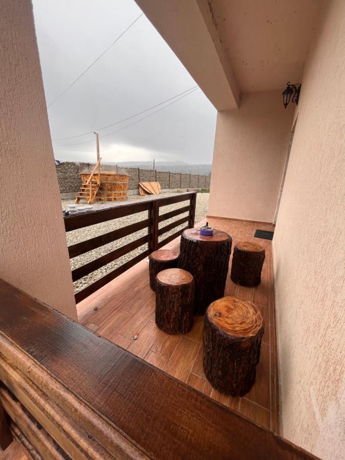 Pensiunea Alin Hotel Sisesti  Exterior photo